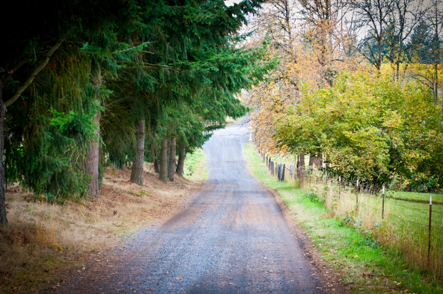 Perseverance in the Journey…