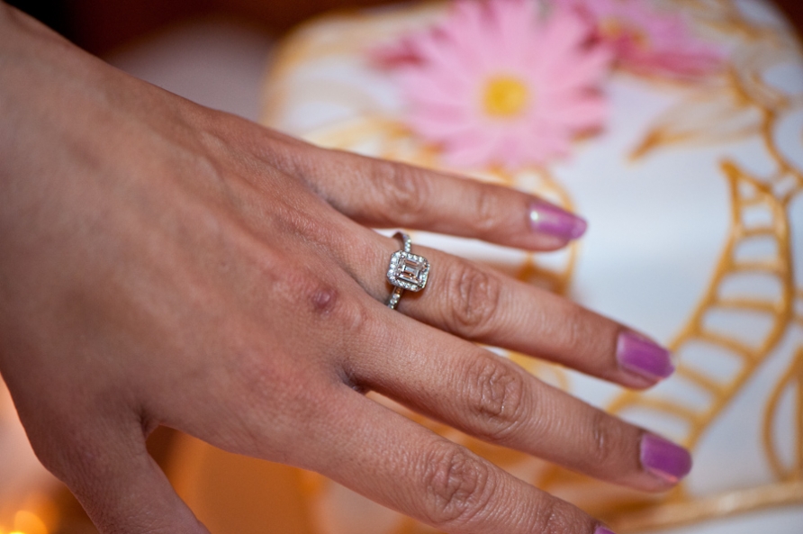 Aman & Amrit’s Wedding Week (July 2011)